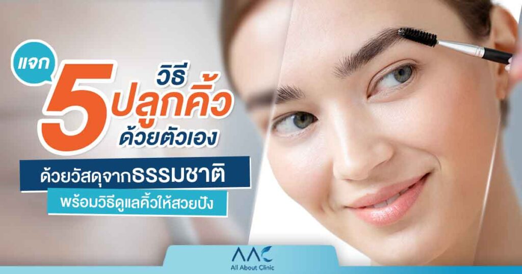 วิธี ปลูกคิ้ว
