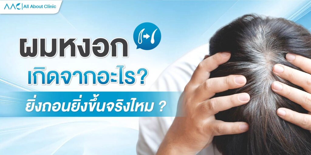 ผมหงอก เกิดจากอะไร ?